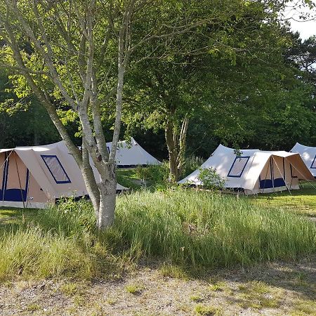 Ameland Tentenverhuur 네스 외부 사진