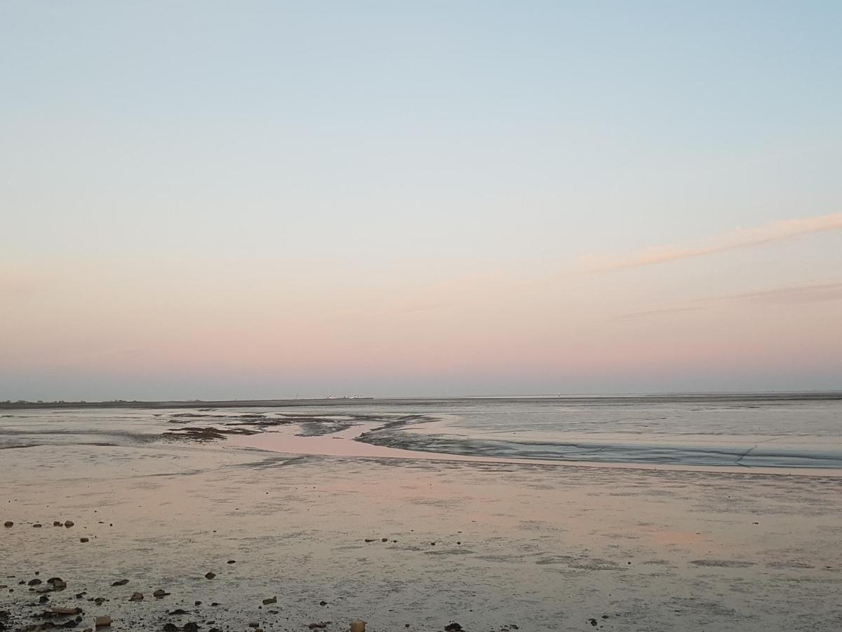 Ameland Tentenverhuur 네스 외부 사진