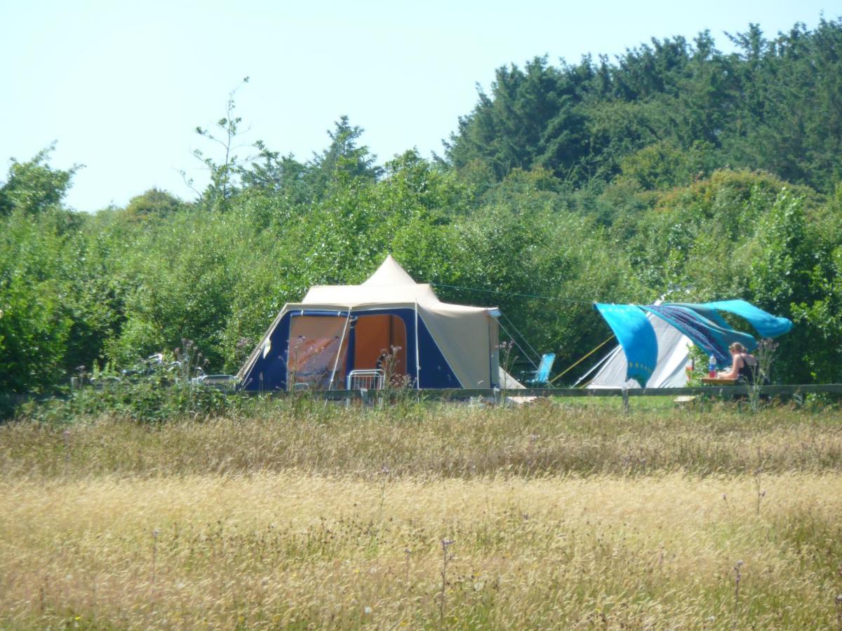 Ameland Tentenverhuur 네스 외부 사진