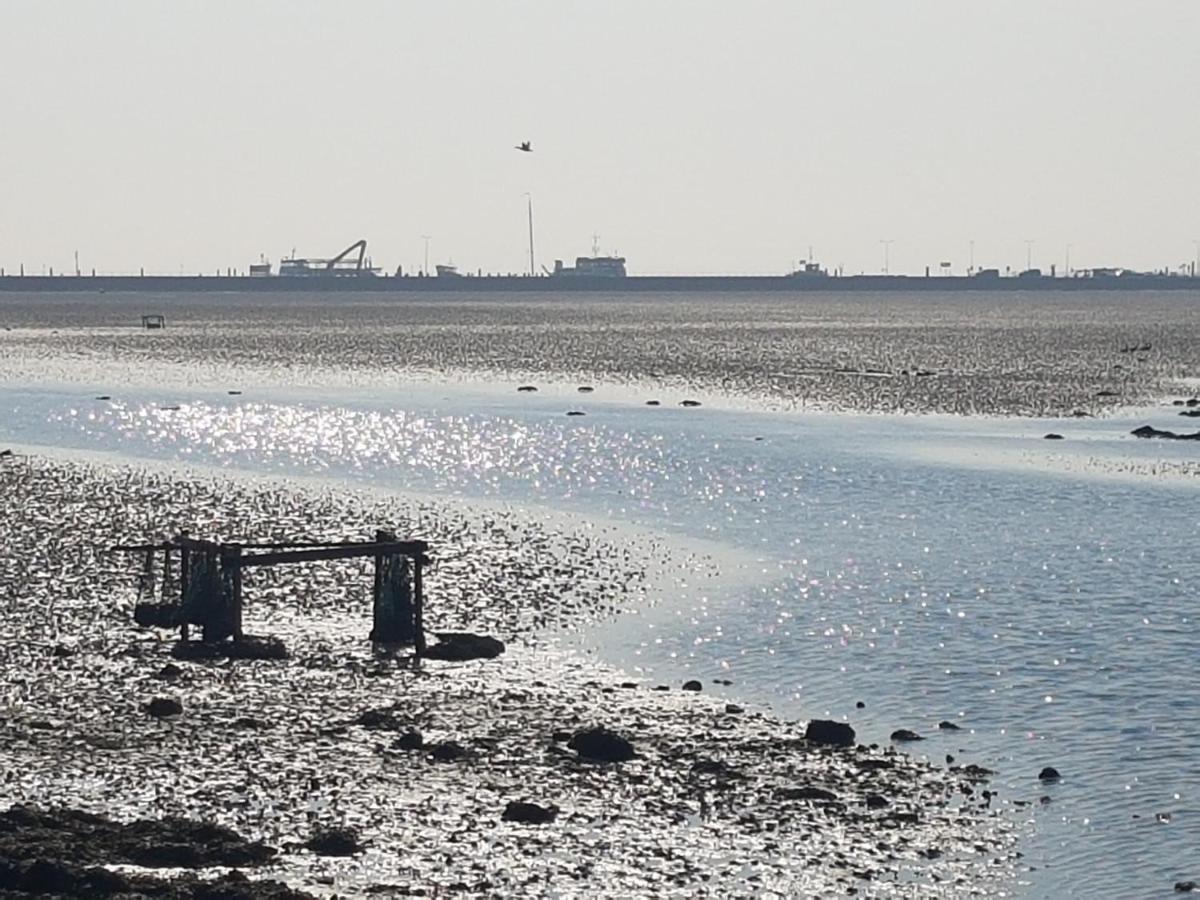 Ameland Tentenverhuur 네스 외부 사진