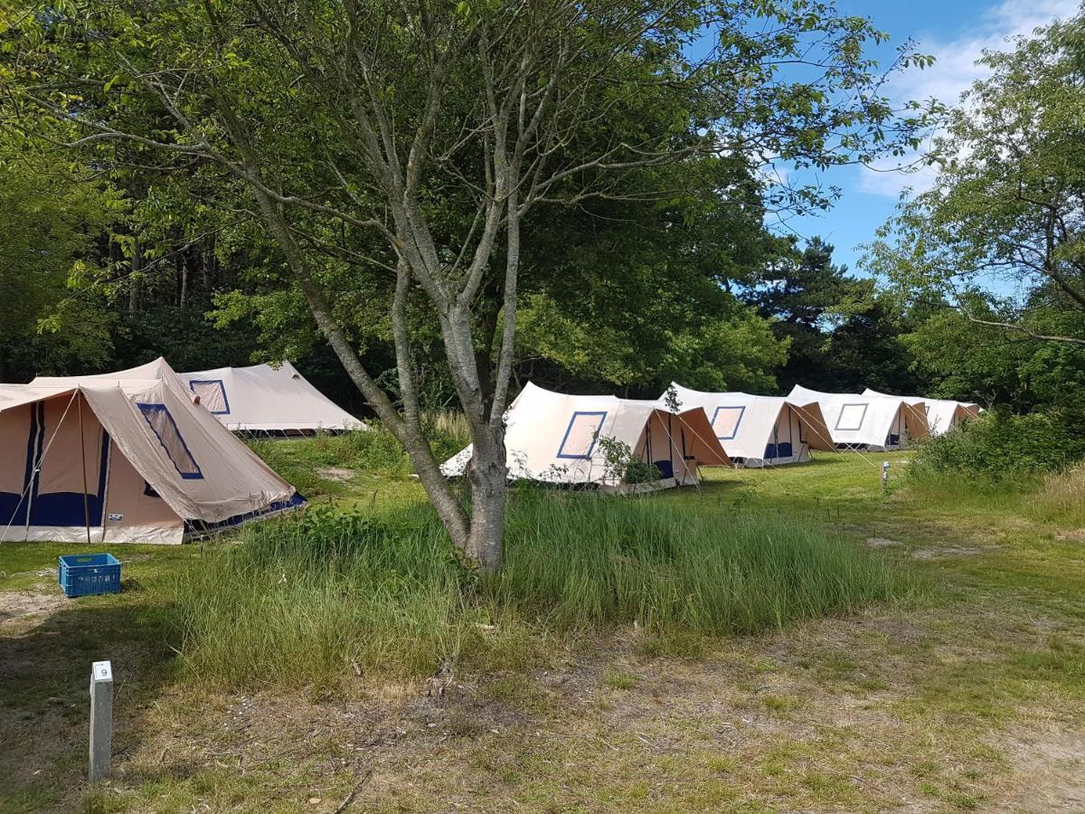 Ameland Tentenverhuur 네스 외부 사진