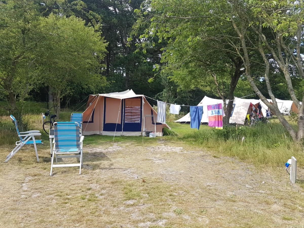 Ameland Tentenverhuur 네스 외부 사진